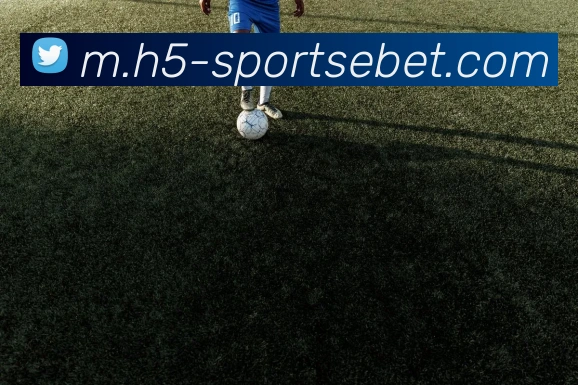 易倍体育APP 高清赛事图